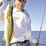 article image - 